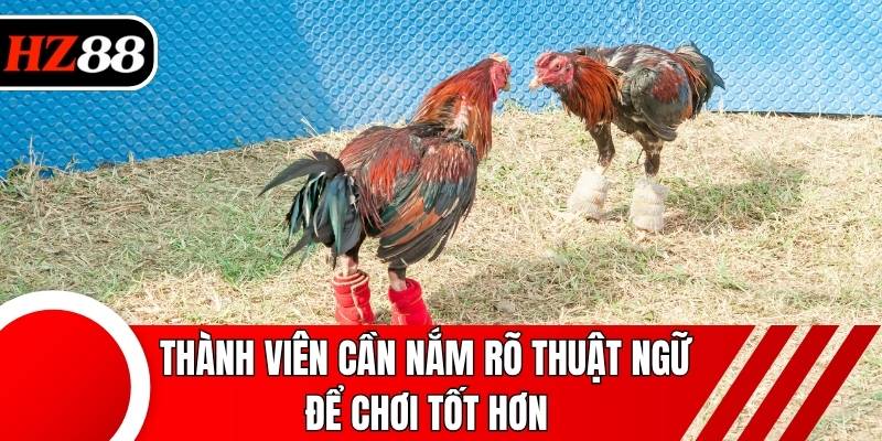 Thành viên cần nắm rõ thuật ngữ để chơi tốt hơn